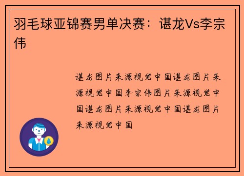 羽毛球亚锦赛男单决赛：谌龙Vs李宗伟